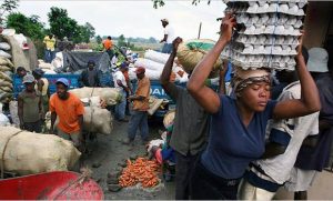 haitianos-quieren-comprar-los-huevos-y-pollos-en-pais-porque-alla-son-mas-caros-f29dd7c090f4169a0e96487384def63e