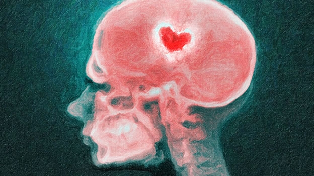 amor-cerebro-enamoramiento