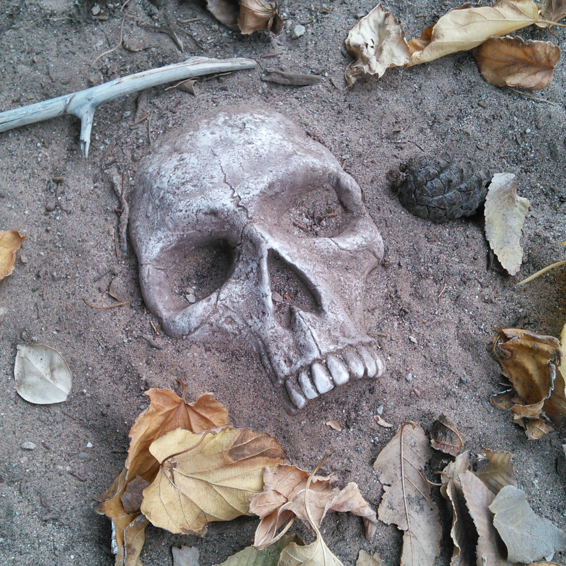 buried-skull-garden-stones
