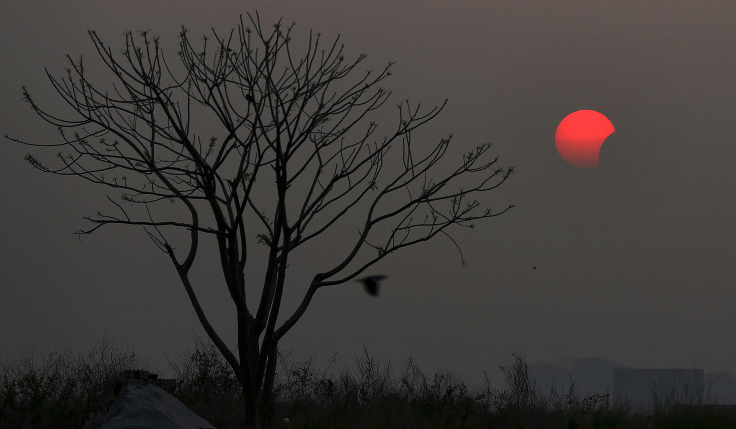Bangladesh Solar Eclipse