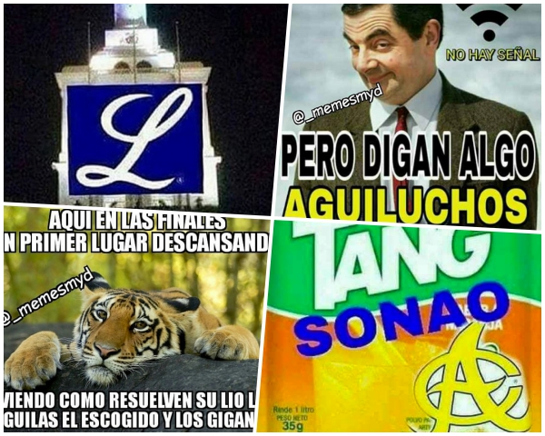 Fotos: Pila'e memes por el triunfo del Licey - Remolacha - Noticias  Republica Dominicana