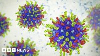 El virus que mata el cáncer se muestra prometedor en los pacientes